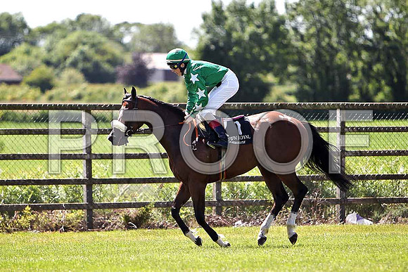 Johnstown Lad 9th, Jockey M Harley - CU2D0206-e