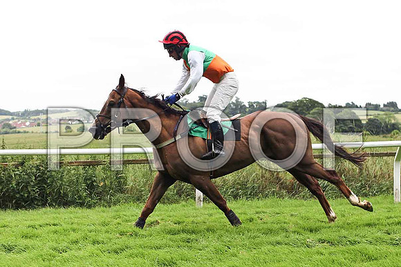 Ashgrove Charlie 9th, Jockey Mr N McParlan - CU2D0961-e