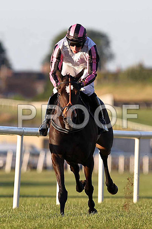 Tus Nua Winner, Jockey Mr M P Fogarty - FT8E1199-e2