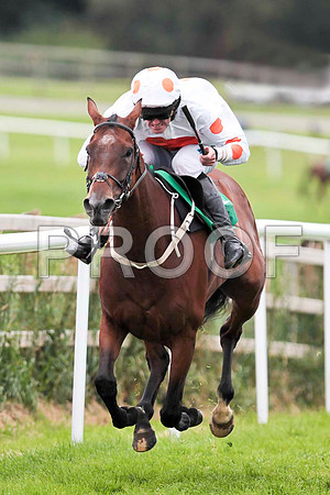 King'sandQueen's - 2nd , Jockey Andrew J McNamara   - CU2D9477-e2