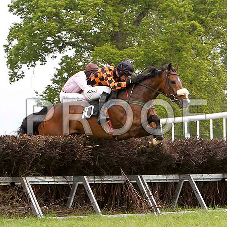 Mister Philson - Winner, Jockey Derek O'Connor - FT8E2513-e
