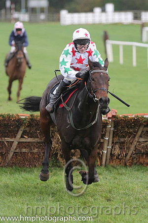 02 Carrigmoorna Rock and DJ Casey - - 02nd (2 ,white, red stars ) Trainer - R Tyner