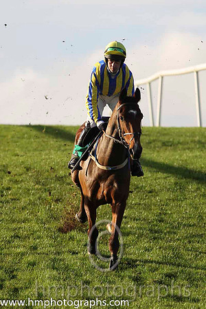 04 Beau Ballistic & R Loughran - 4th (1, royal blue and yellow stripes) - FT8E1128-13