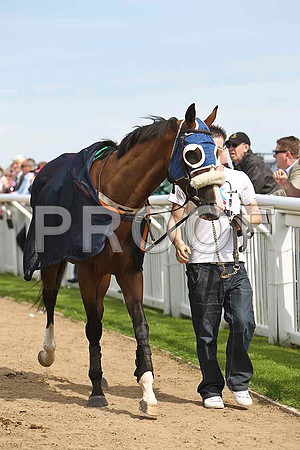Almanyan  - Winner, Jockey K M Donoghue- CU2D1646-e