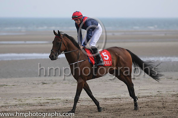1 My Bounty and C P Geoghegan - - 1st (5 ,dark blue, red epaulettes ) Trainer - M D O'Callaghan