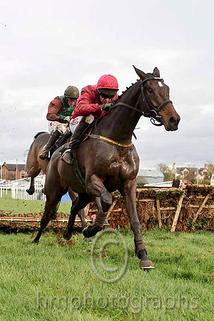 Joxer & B J Cooper - 2nd (2, brown light green cross sashes) & Monksland & P Carberry - Winner (1, Cerise) - CU2D4508-e2b