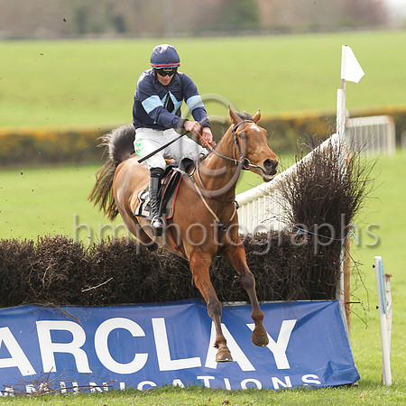 01st SHECOULDBEANYTHING and D G Lavery ( 12 , NAVY,light blue star; navy sleeves,light blue armlet; navy cap,light blue star ) Trainer: Patrick Eugene Turley,, Owner : Declan Lavery