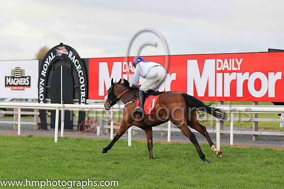 04th My Manekineko and P Townend ( 1 , white, purple disc ) Trainer - J Nash , Owner - Ka Hon Tham