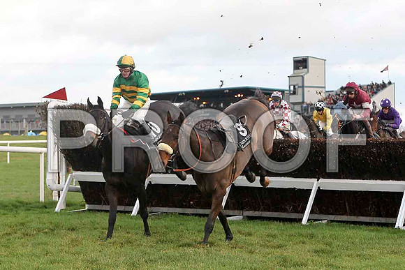 Darling Harbour , Jockey D J Casey - Winner - in the lead , Riderless Horse (8) On Gossamer Wings -  FT8E4883-e