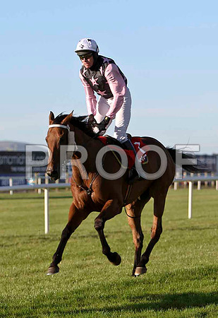 Archie Boy PU, Jockey B J Geraghy - CU2D0179-e