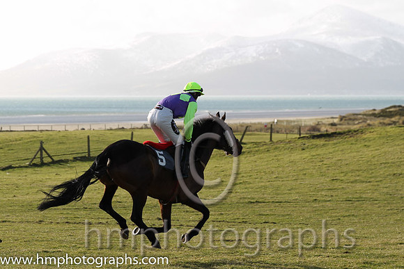 10 Auntie Norma (5) & H D Dunne - PU Trainer : Marshall Watson, Purple, three yellow diamonds