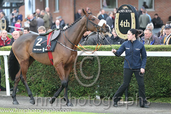 07 Tiger Roll and B J Cooper - PU - 07th (2 ,maroon white star ) Trainer - G Elliott