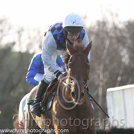 08 Diamond Gesture & P T Enright - 8th (4, royal blue and black check) -  FT8E1244-69