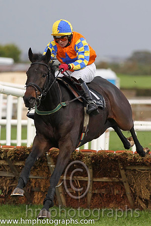 01 Gilt Shadow & Mr S Crawford - winner (1, orange, royal blue star) - FT8E0282-Edit-100