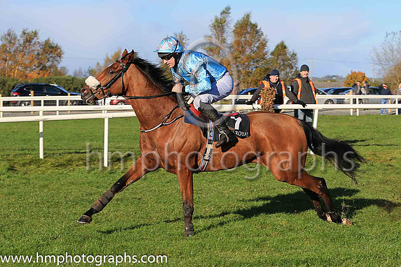 o6th Zig Zag and J S McGarvey ( 7 , light blue, grey braces ) Trainer - Joseph P O?Brien , Owner - Annus Mirabilis Syndicate