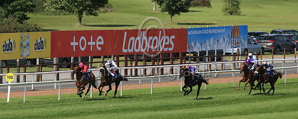 03rd Manu Et Corde (1 white, purple panel ) Jockey: Kevin Manning , Trainer: J S Bolger