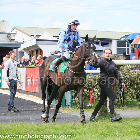 04th Frontline Worker (2 ,dark blue and light blue diamonds ) Jockey: C P McNamara ,Trainer: Henry De Bromhead