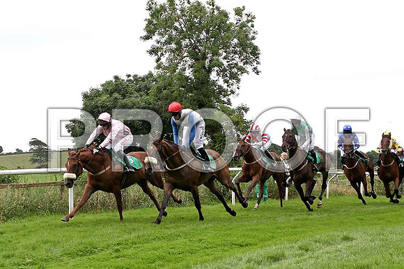 Cuchullain , Hills of Claragh , Corrado Suprano , Pickapocketortwo winner & Makinganeffort - CU2D0951-e