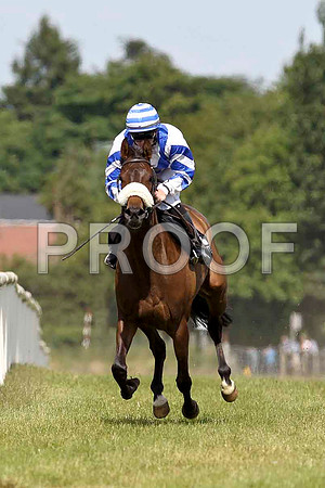 Sinntorina 8th, Jockey  G F Carroll - FT8E1555-e