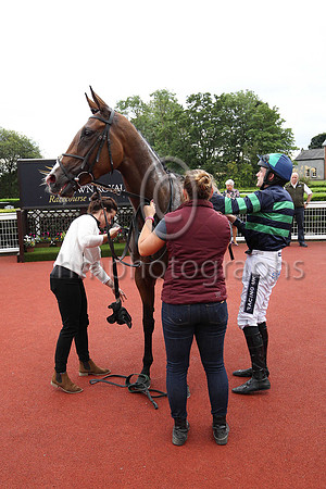 1st Minnie Dahill and R Walsh ( 10 , dark blue and emerald green hoops ) Trainer - T M Walsh , Owner - Micheal D Ryan