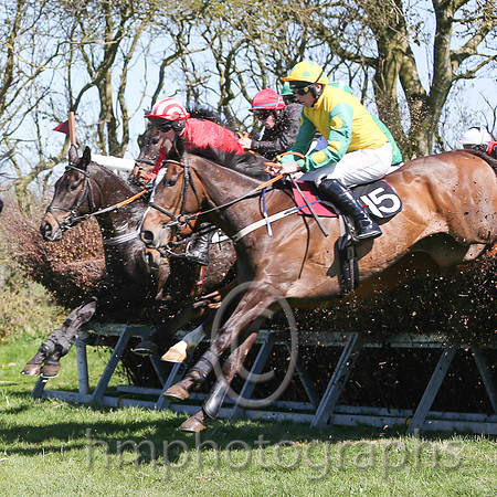 01st Born Survivor ( 15 )  J J Codd - Trainer : W F Codd - yellow
