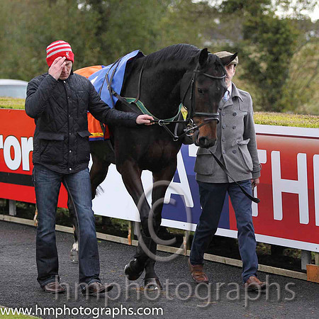 01 Gilt Shadow & Mr S Crawford - winner (1, orange, royal blue star) - FT8E0234-56