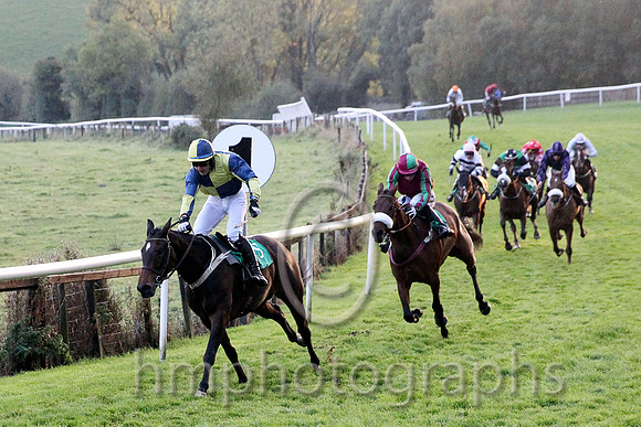 01st Concience ( 9 , dark blue and yellow qtrd ) and J.P. Dowling (7) - Trainer : Desmond McDonogh - Owner : P.E.I.Newell