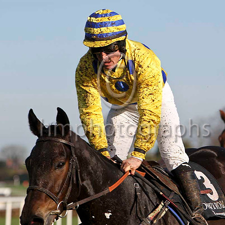Brecan Boy , 10th - Jockey D Casey -FT8E6448-e