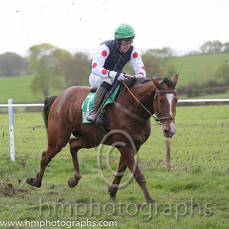 05th Tailor's Gold and J P O'Rourke - - 05thth (7 ,dark blue, emerald green seams ) Trainer - Tom Shaw