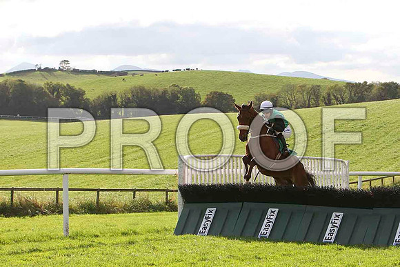 Waterloolane , Jockey I J McCarthy - 6th - CU2D9205-e