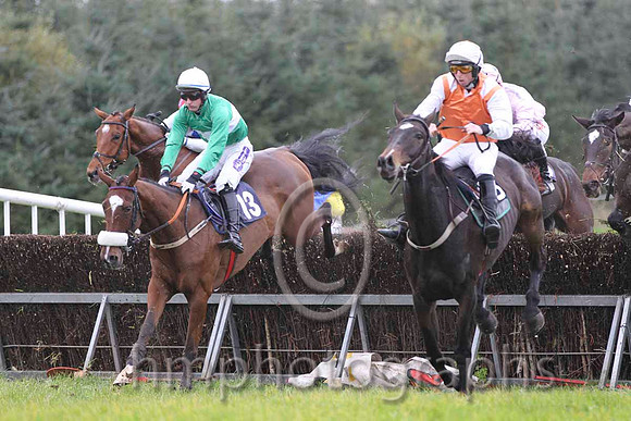06 OneHellOfANiceGuy & David Joseph O'Leary - 6th (13, emerald green, white hoop) & 09 SevenBalls of Fire & J J Codd - Fell (15, white, red sash) - FT8E0576-24