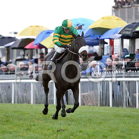 Darling Harbour , Jockey D J Casey - Winner  - CU2D1248-e