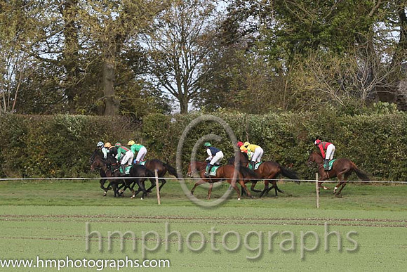 Loughbrickland Point to Point - Race 3