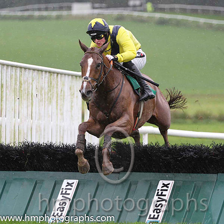 01 Old Kilcash & D E Mullins - winner (5, yellow, dark blue sash) - FT8E8918-23