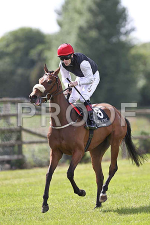 Stroke of Love winner, Jockey P J Smullen- FT8E1564-e