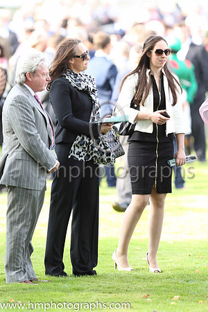 Parade Ring at Leopardstownt