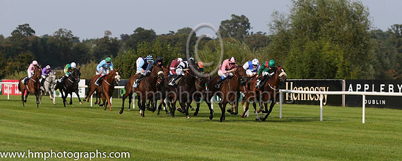 03 Silwana and L F Roche - - 03rd (14 ,green, red epaulettes ) Trainer - D K Weld
