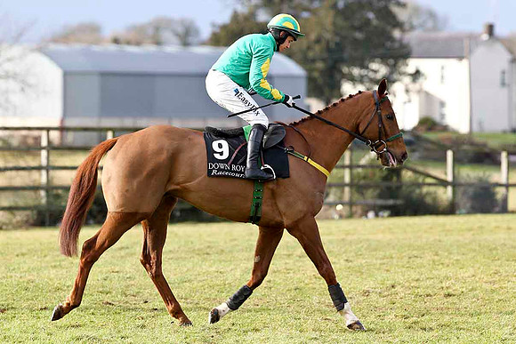 Kid Curry - 2nd - Jockey D J Condon - CU2D3160-e