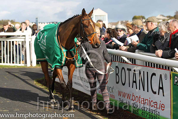 Tammys Hill - winner of the CGA Foxhunter Chase at Cheltenham - FT8E4330-5