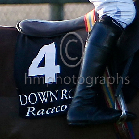 Number 4 Down Royal Racecourse - FT8E6669-e2