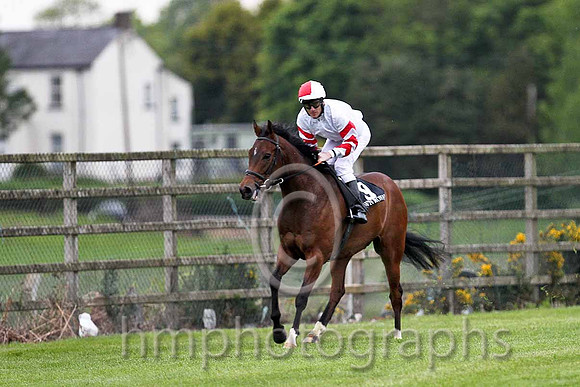 R6 - San Diego Prince 13th, Jockey L F Roche  - FT8E0566-e
