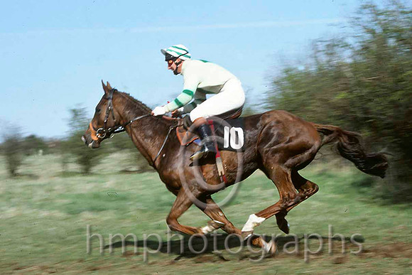 Flesh King (10, white, green diamond, hooped sleeves, white cap green hoops) - IMG_0007-e
