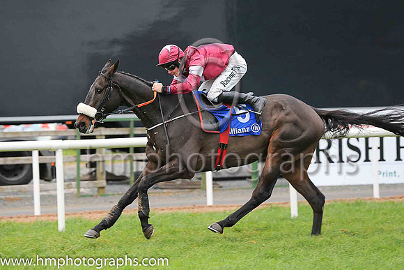 01st Wolfslair and D J Mullins ( 5 , naroon, white star, maroon cap ) Trainer - G Elliott , Owner - Gigginstown House Stud