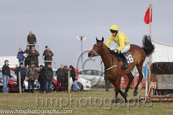 07th PU Super Scorpion ( 16 )  M J Lynch - Trainer: Mark L Fagan - yellow, black spots