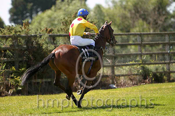 Cementry Lane 13th, Jockey B A Curtis - CU2D0221-e