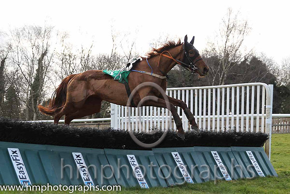 Race 3 F - Rufino (IRE) (4 ) Jockey: M P Fogarty - Trainer: P J Rothwell - red, light blue stars