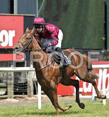 Clodagh Baby , Jockey D J Moran , 5th - FT8E1221-e