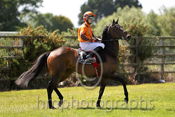 My St Clair 8th, Jockey C O'Donoghue - CU2D0237-e