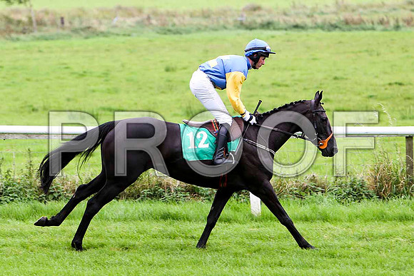 Lady Barack , Jockey S J Gray - 12th - CU2D2347-e