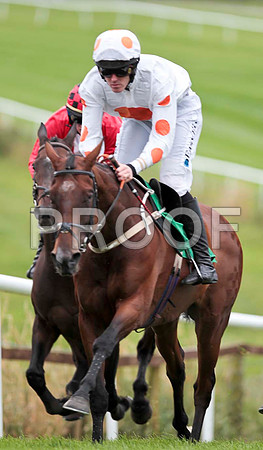 King'sandQueen's - 2nd  , Jockey Andrew J McNamara  - CU2D9469-e